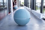  Office Ballz 