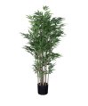  Bambu Large 