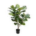  Fiolfokus Small 