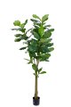  Fiolfokus Large 
