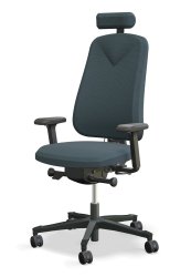Hgans 290