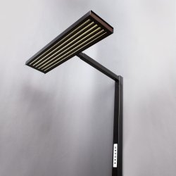 Easy One LED Golvlampa med IQ