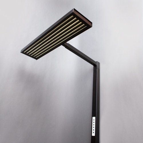 Easy One LED Golvlampa med IQ