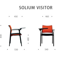 Solium Visitor